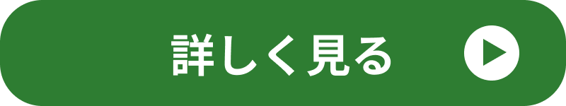 詳しく見る